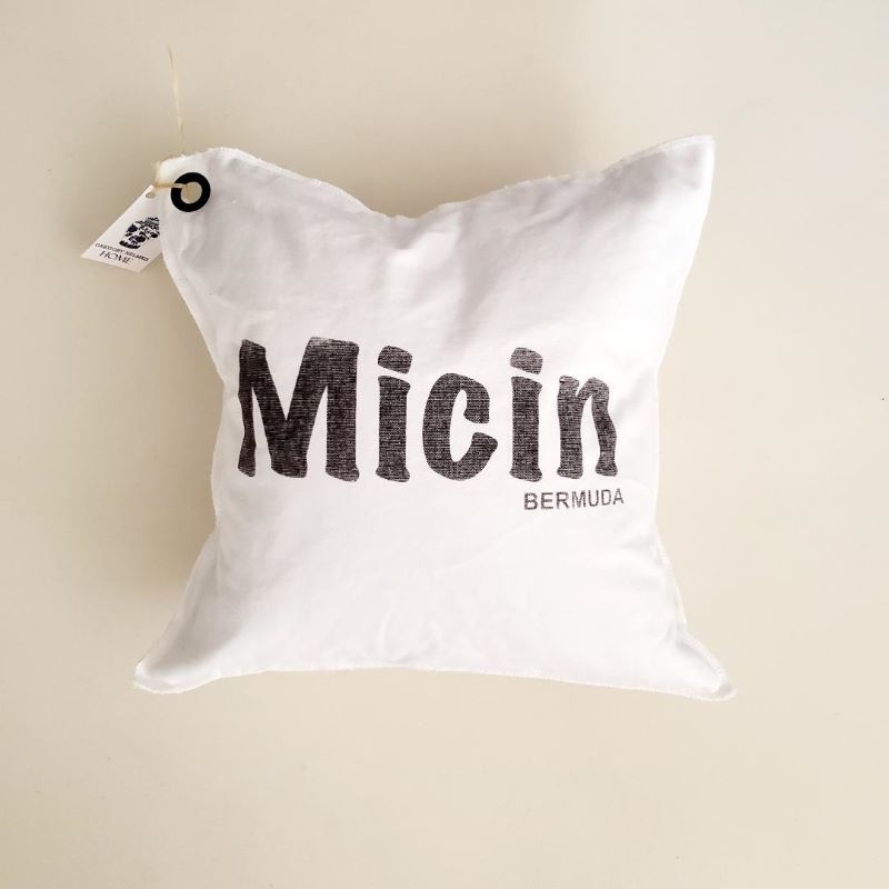 Micin Pillow